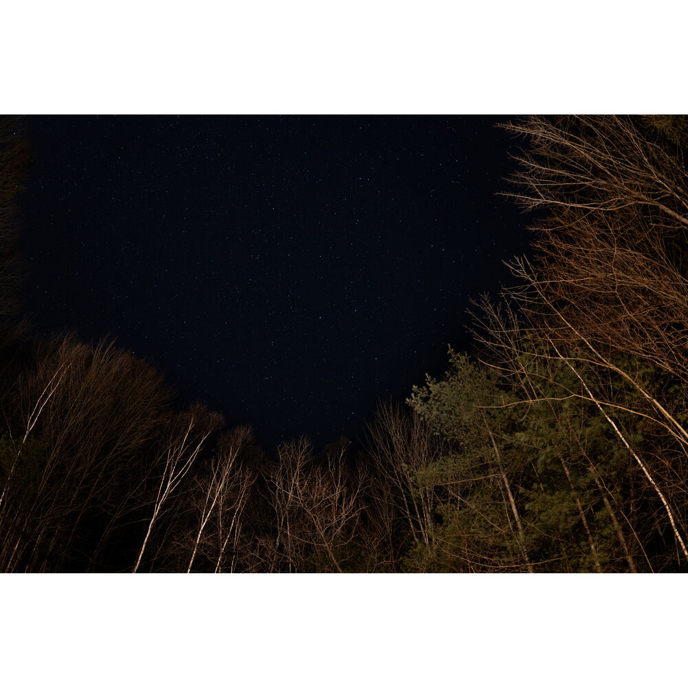 SIGMA - AF 15MMM F/1.4 DG DN DIAGONAL FISHEYE(A) F/SE
