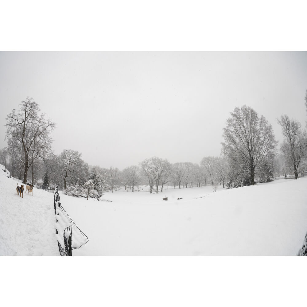 SIGMA - AF 15MMM F/1.4 DG DN DIAGONAL FISHEYE(A) F/SE