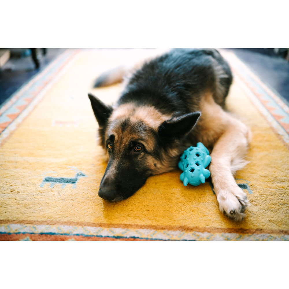 SIGMA - AF 35MM F/1.2 DG II (A) F/SE