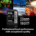LEXAR 512GB SILVER Plus SDXC Hafıza Kartı (UHS-I, V30)
