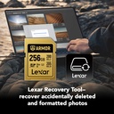LEXAR 256GB ARMOR GOLD SDXC Hafıza Kartı (V60)