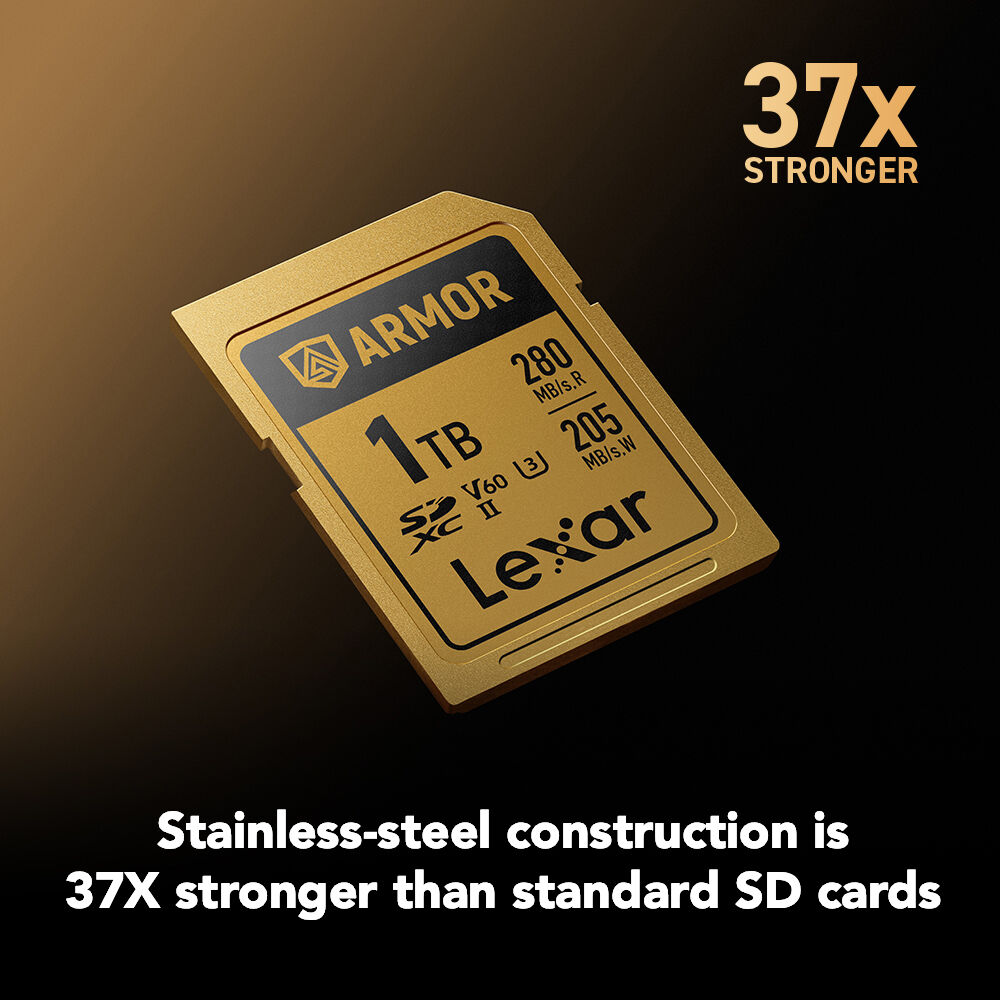 LEXAR 1TB ARMOR GOLD SDXC Hafıza Kartı (V60)