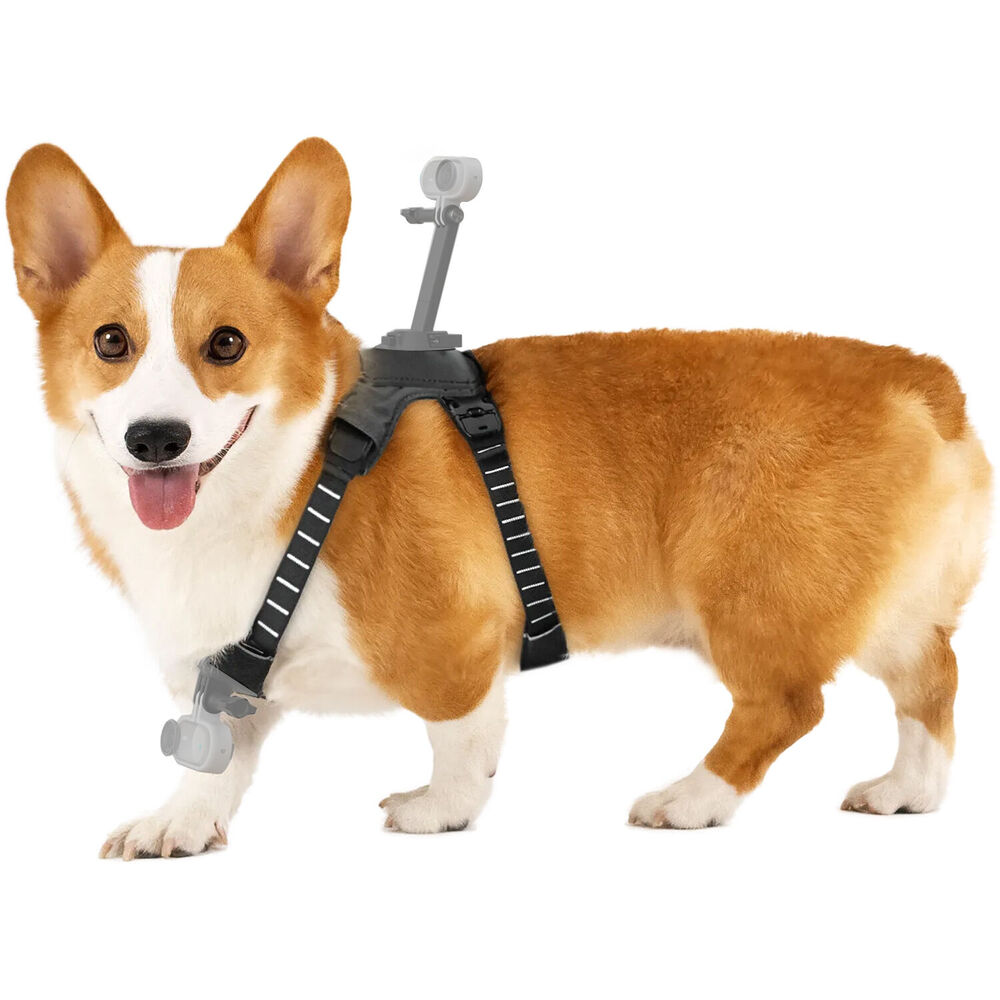 Insta360 Pet Harness Mount ( MEDİUM )