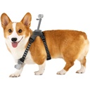 Insta360 Pet Harness Mount ( MEDİUM )