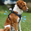 Insta360 Pet Harness Mount ( MEDİUM )