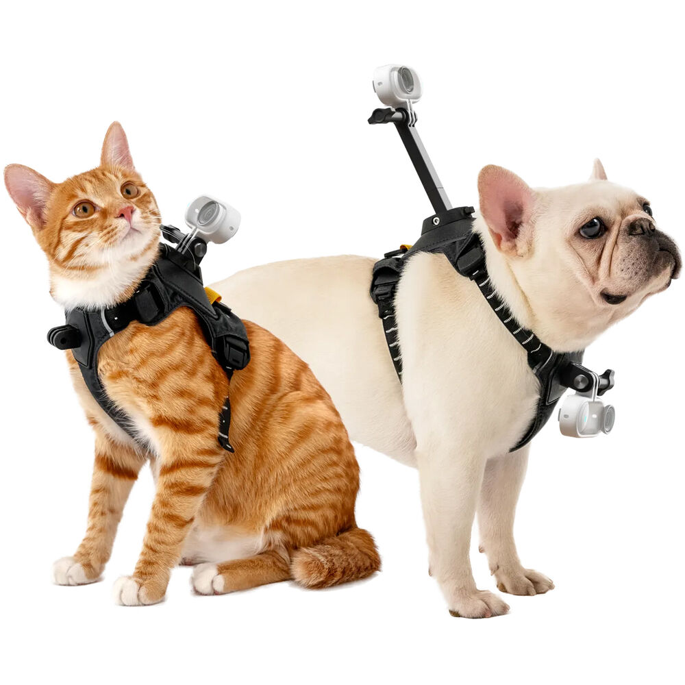 Insta360 Pet Harness Mount ( MEDİUM )