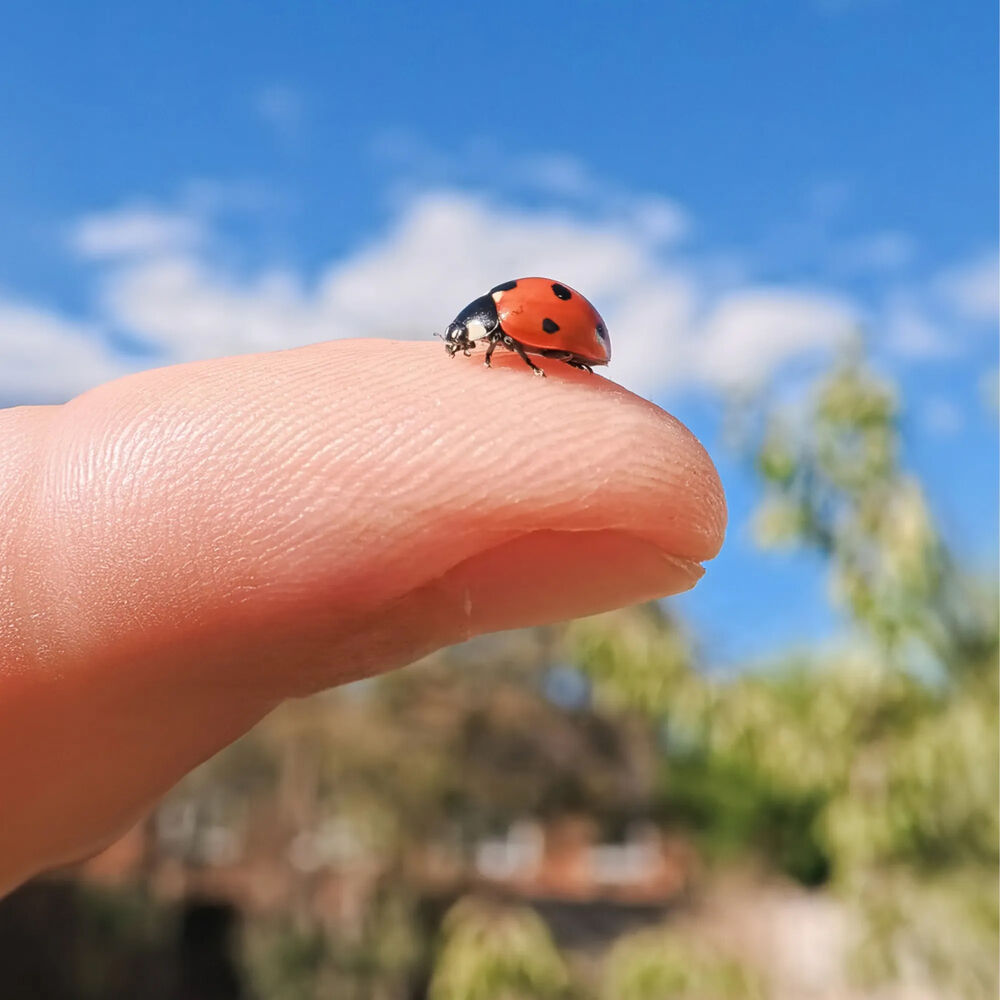 Insta360 Micro Lens Go Ultra