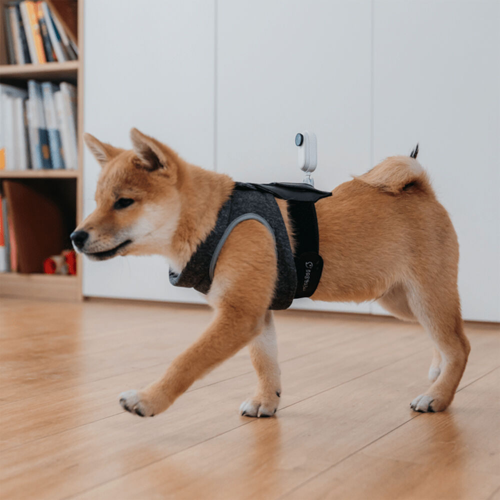 Insta360 Pet Strap Mount