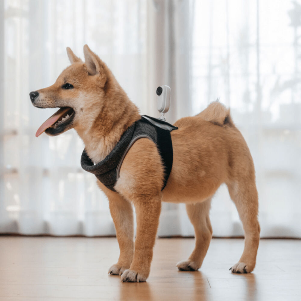 Insta360 Pet Strap Mount