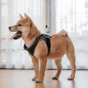 Insta360 Pet Strap Mount