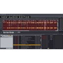 Grass Valley EDIUS 11 Pro Second License