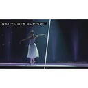Grass Valley EDIUS 11 Broadcast Nonlinear Editing Software
