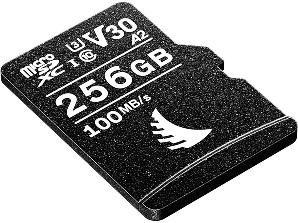 MicroSD 256GB V30