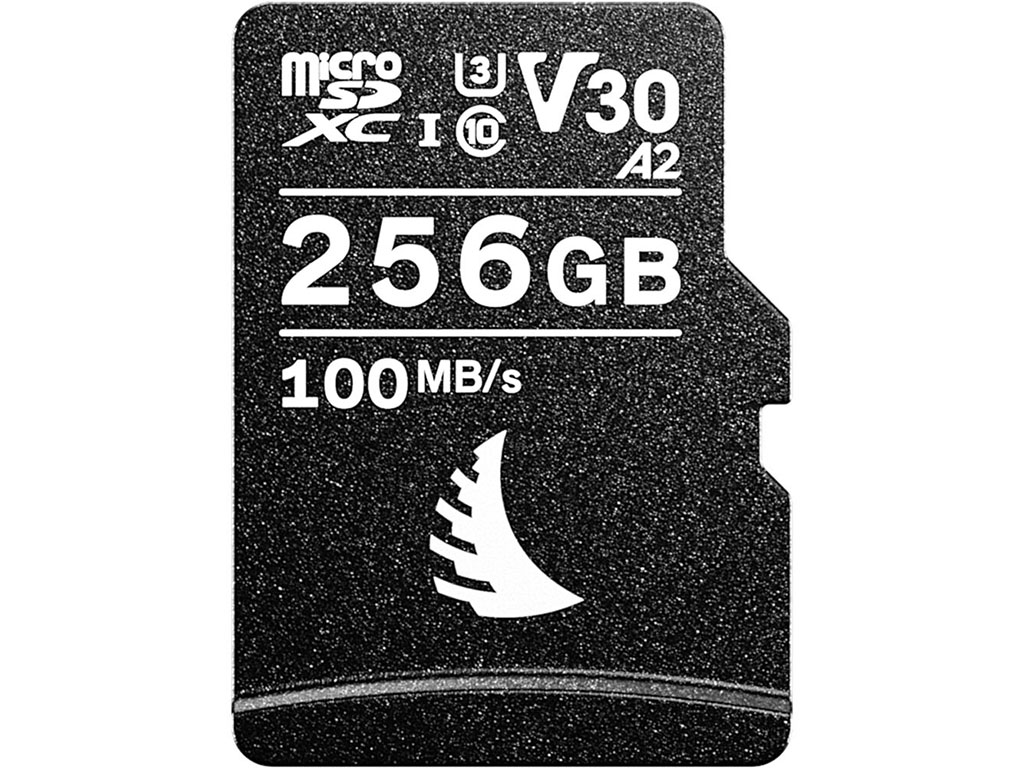 MicroSD 256GB V30