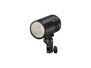 AD100Pro Taşınabilir Paraflaş
