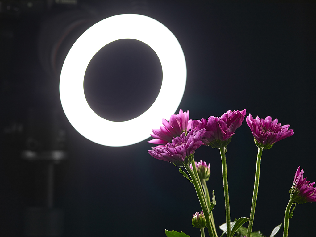 RING72 Macro LED Ring Işık