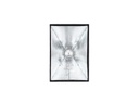 UL-6090 60x90cm Kolay Kurulum Softbox