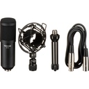 Tascam TM-70 Dinamik Yayıncı Mikrofonu