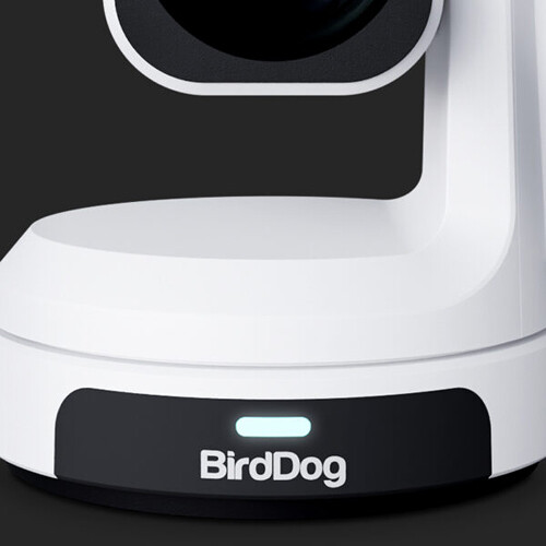 BirdDog Max 4K UHD PTZ Kamera - 12x Zoom Mavi
