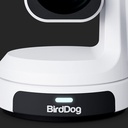BirdDog Max 4K UHD PTZ Kamera - 12x Zoom Yeşil