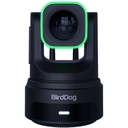 BirdDog X4 Ultra 4K PTZ Kamera AI Takip (Siyah)
