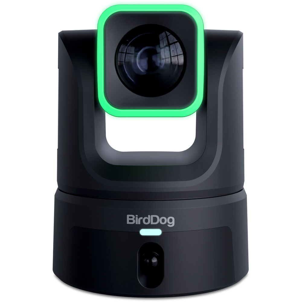 BirdDog XL Ultra PTZ Kamera (20x Zoom + Geniş Açı İkinci Sensör) (Siyah)
