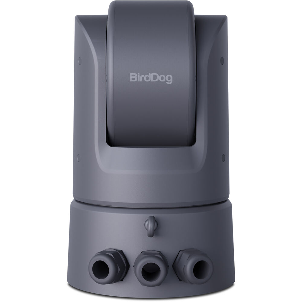 BirdDog O4 Outdoor PTZ Kamera with 30x Optik Zoom (Gri)