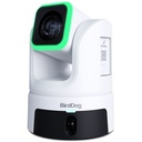 BirdDog XL Ultra PTZ Yayın Paketi (3 Kamera + Kumanda) (Beyaz)