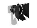 Amaran Mini Fresnel