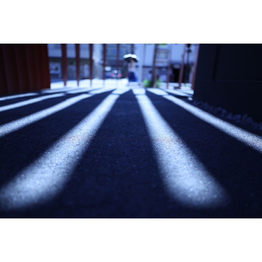 Canon RF 24mm F1.4 L VCM Lens
