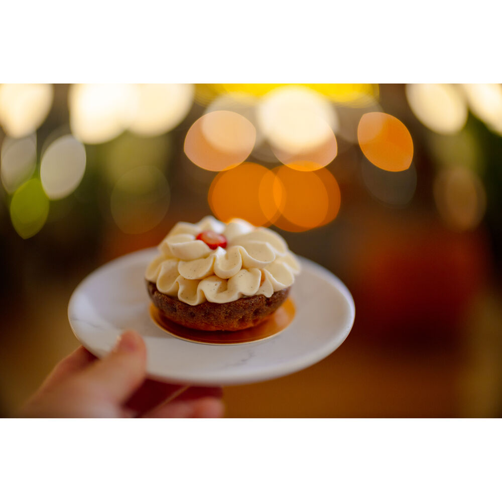 Canon RF 45mm F1.2 STM Lens