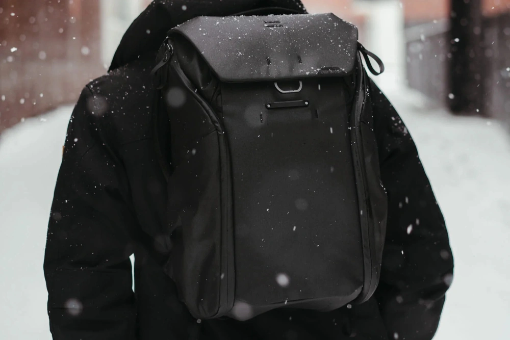 Everyday Backpack V3 20L Günlük Sırt Çantası - Black