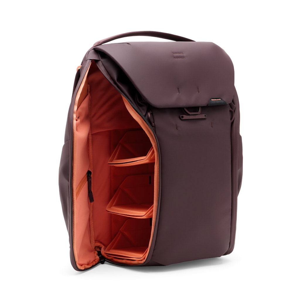 Everyday Backpack 20L Günlük Sırt Çantası - Eclipse