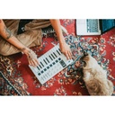 Arturia MiniLab 3 - Beyaz