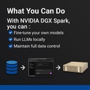 PNY NVIDIA DGX Spark Masaüstü AI Yapay Zekâ İş İstasyonu /