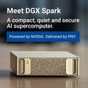 PNY NVIDIA DGX Spark Masaüstü AI Yapay Zekâ İş İstasyonu /