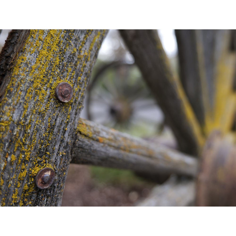 Panasonic Lumix S 20-60mm Lens