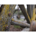 Panasonic Lumix S 20-60mm Lens