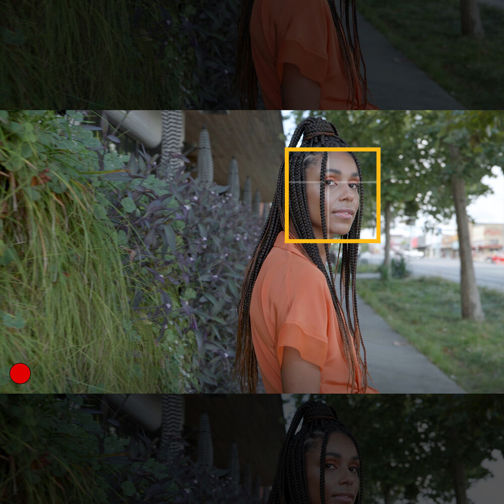 Panasonic Lumix S 35mm f/1.8 Lens
