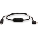 Tilta USB-C Run/Stop Cable for A6/A7/A9 Series-RS-USBC-SYA