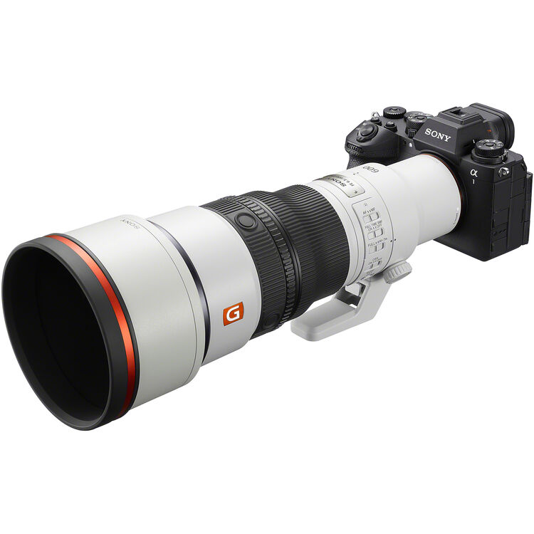 Sony FE 600mm f/6.3 GM OSS Lens (Sony E)