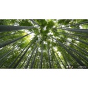 Sony FE 16mm f/1.8 G Lens (Sony E)