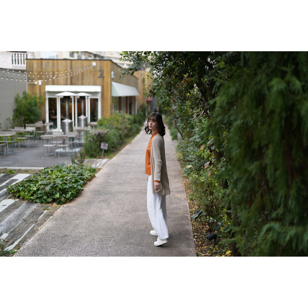 Sony FE 50mm f/1.4 GM Lens (Sony E)