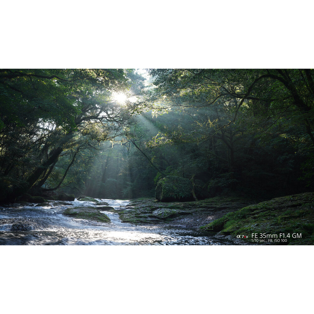 Sony FE 35mm f/1.4 GM Lens