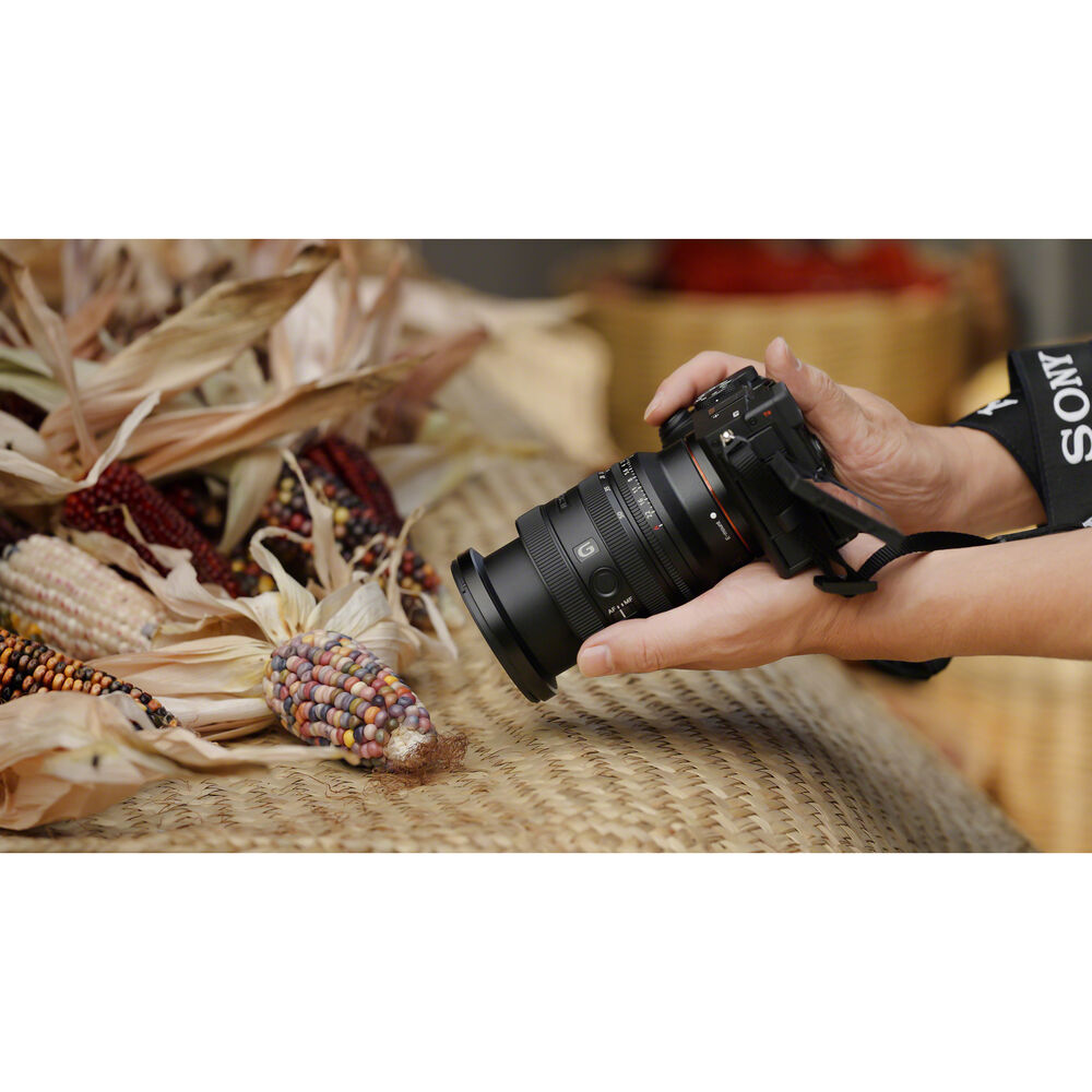 Sony FE 24-50mm f/2.8 G Lens (Sony E)