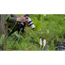 Sony FE 70-200mm f/4 Macro G OSS II Lens (Sony E)