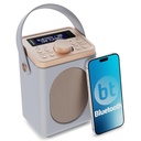 Majority Little Shelford - Gri Taşınabilir DAB/FM Radyo Bluetooth Hoparlör