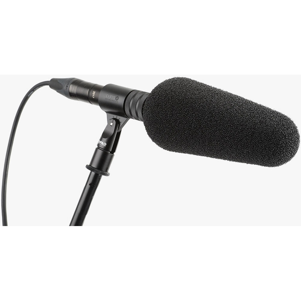 DPA Microphones 2017 Supercardioid Shotgun Microphone