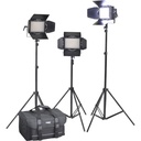Cineroid LM400-3setV Professional LED 3-Light Kit