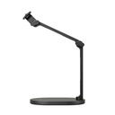 RØDE DS2